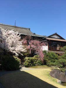 2015 京都 都をどり (1)