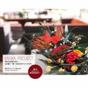 kankaのプロフィール写真