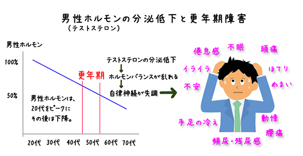 男性の更年期障害 4 犯人はテストステロンの低下 高級メンズサプリを送料無料で マカ シトルリン トンカットアリ アルギニン 亜鉛なら神戸ロハスフード 大阪の地域ブログポータルサイト まちブログ大阪