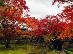 京都、宝厳院のお庭の紅葉２
