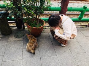 台湾で出会った猫ちゃんと仲良しに♪