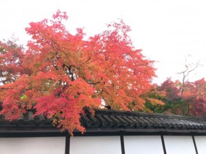 南禅寺へはねじりまんぽを通り近道！南禅寺までの道のりも紅葉を堪能