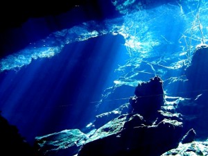 とても神秘的な水中セノーテは淡水ダイビング