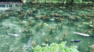 インスタグラムでも有名な写真スポット、モネの池