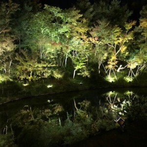 高台寺の庭園のライトアップ