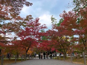 11月末頃の大本山南禅寺の紅葉の写真