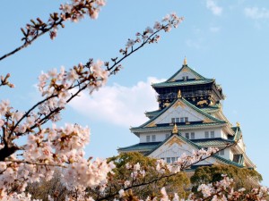 大阪　関西　お花見　人気　スポット　大阪城　桜
