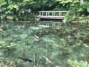 岐阜県の有名スポット「モネの池」はインスタでも人気