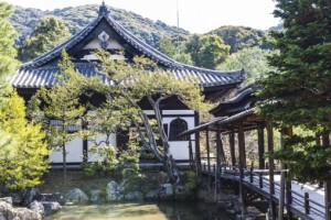 京都の高台寺へ観光