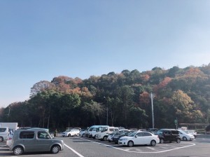 紅葉を見ながら大阪からドライブ