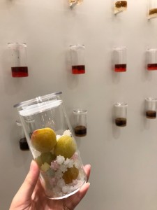 京都・蝶矢（チョーヤ）の梅酒作り体験内容を簡単にレポート！！２