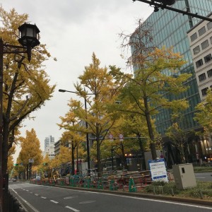 大阪・御堂筋のイチョウの木の紅葉