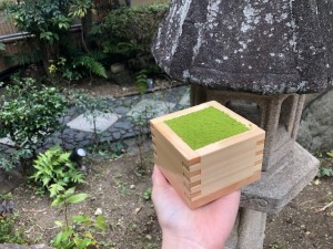京都の人気抹茶ティラミス