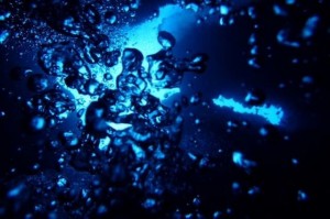 冬の海でスキューバダイビング！開水の透明度が高い