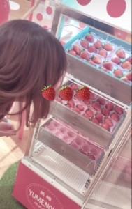 お好きな苺を選べちゃいます