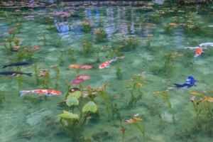 絵画のような池、岐阜県関市板取にあるモネの池