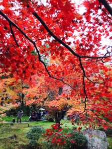 京都、宝厳院のお庭の紅葉