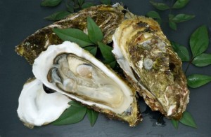 広島　名産　牡蠣　海のミルク　海鮮　グルメ