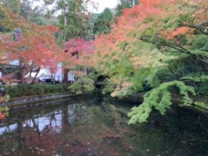 古都京都の旅