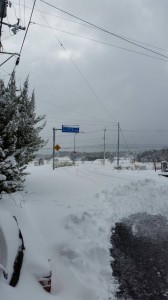 地元の滋賀は雪で道路も真っ白！