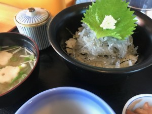 淡路島の名物「生しらす丼」