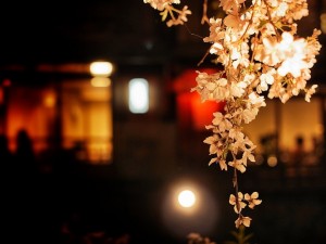 夜桜　お花見　BBQ　大阪　オススメ　スポット