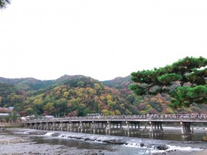 秋の時期、渡月橋（とげつきょう）からは紅葉も堪能できます