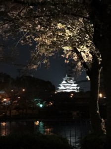天満橋桜の通り抜けで夜桜を楽しみました